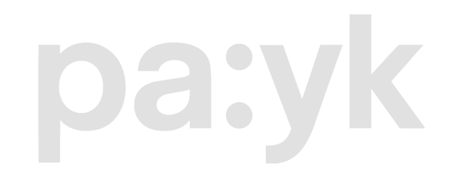 PAYK Consulting